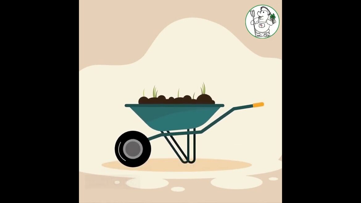 Organic Zucchini Gardening in Colorado: 7 Tips for Success with Chappy the Gardener