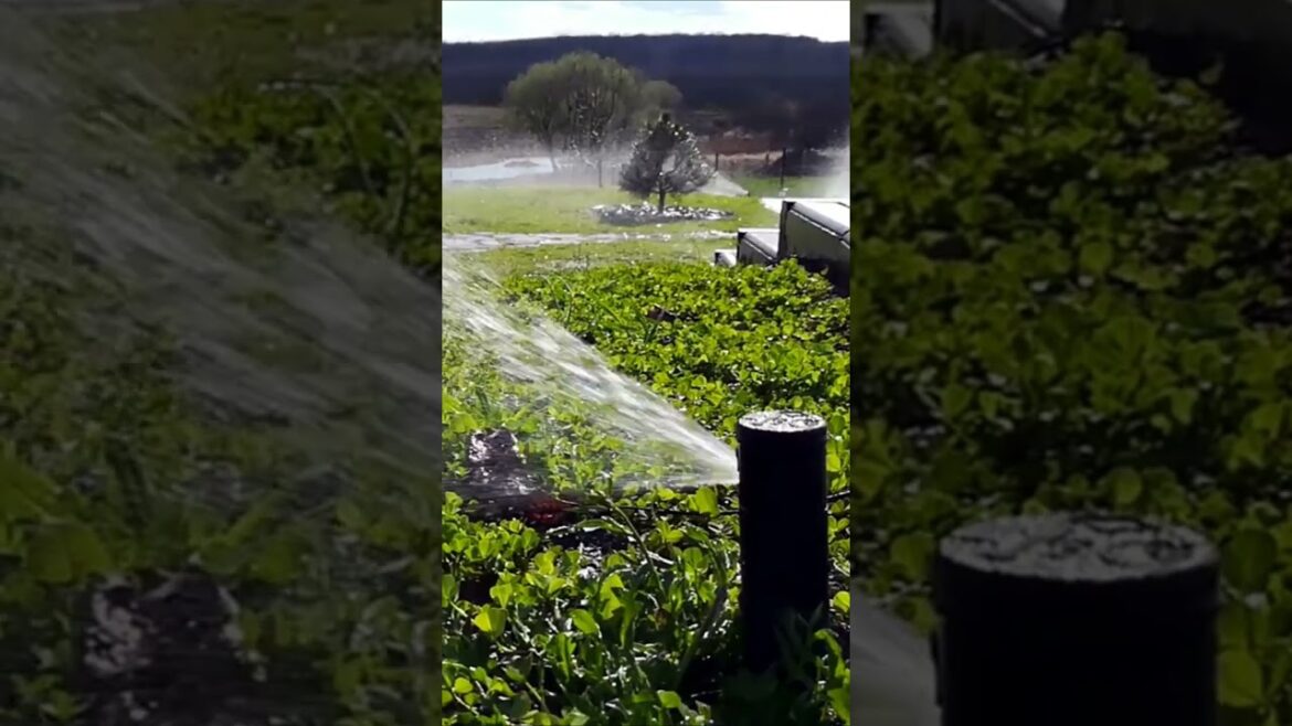 Hunter PGJ Rotor. Automatic Lawn Irrigation System Hunter PGJ Rotor. Automatic Lawn Irrigation System