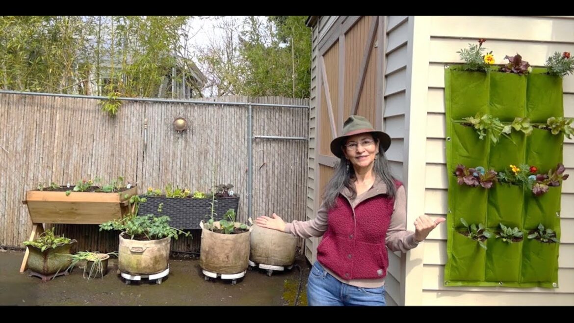 Creative Kitchen Garden Ideas | Small Space Gardening | Vegetables, Flowers & Herb Garden Mix Creative Kitchen Garden Ideas | Small Space Gardening | Vegetables, Flowers & Herb Garden Mix