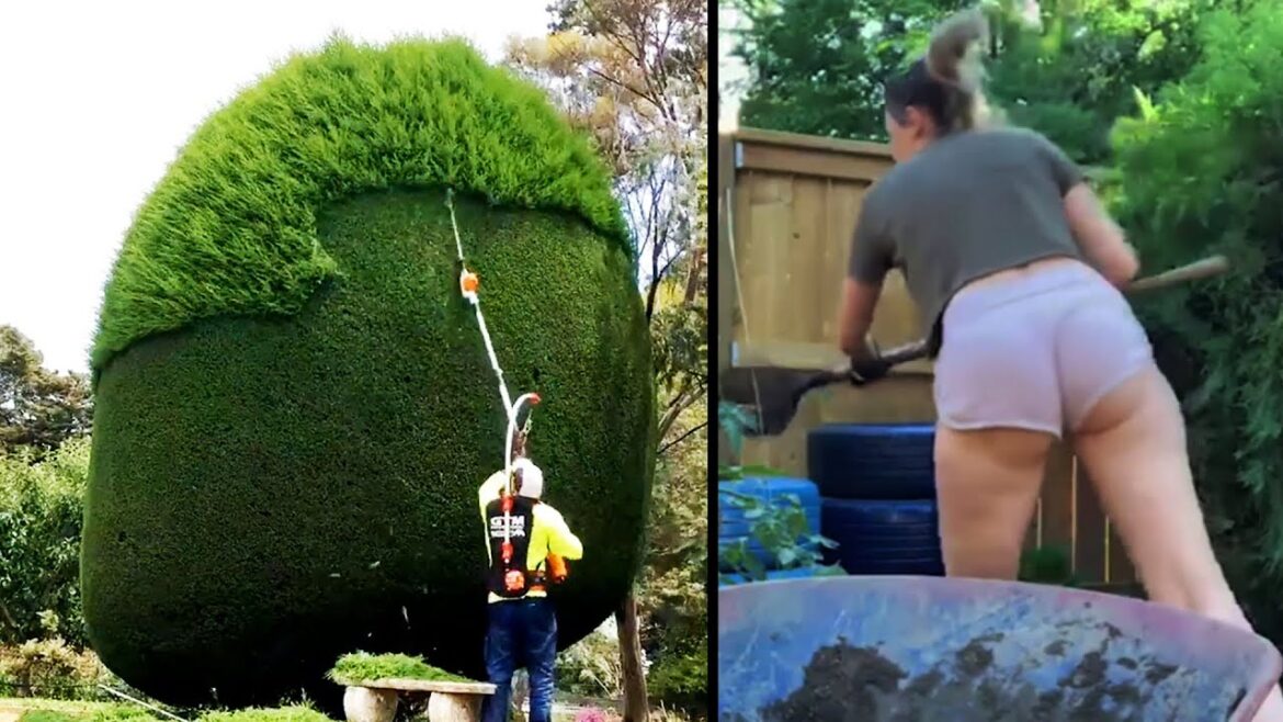 Satisfying Gardeners At Work You Cant Stop Watching