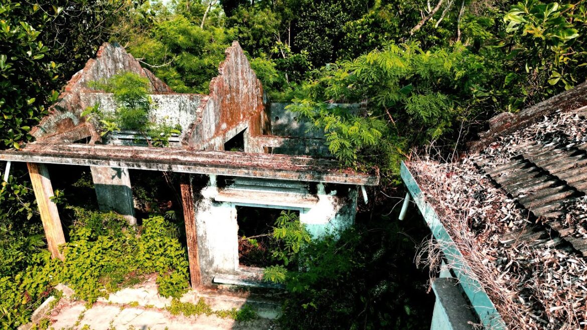 Random Help 92-Year OLD MAN clean up the garden Abandoned for Years | FREE LAWN MAKEOVER