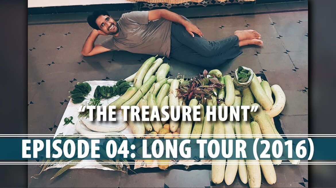 Organic Edible Rooftop Gardening - Long Tour (2016)