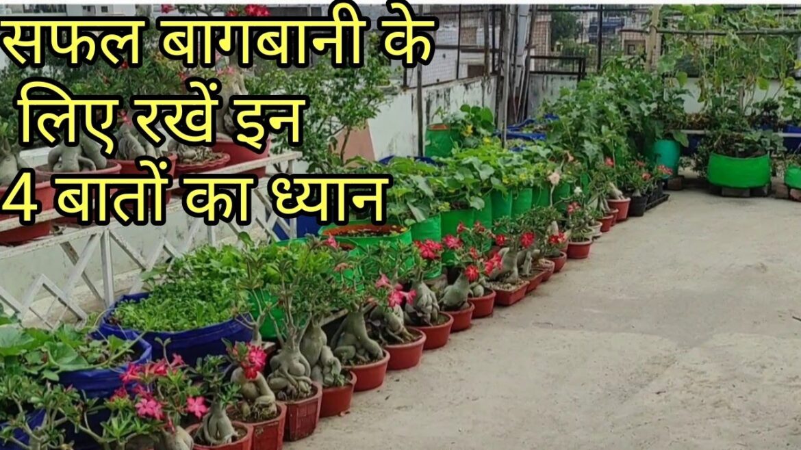 4 important hacks for terrace garden.play with terrace and garden