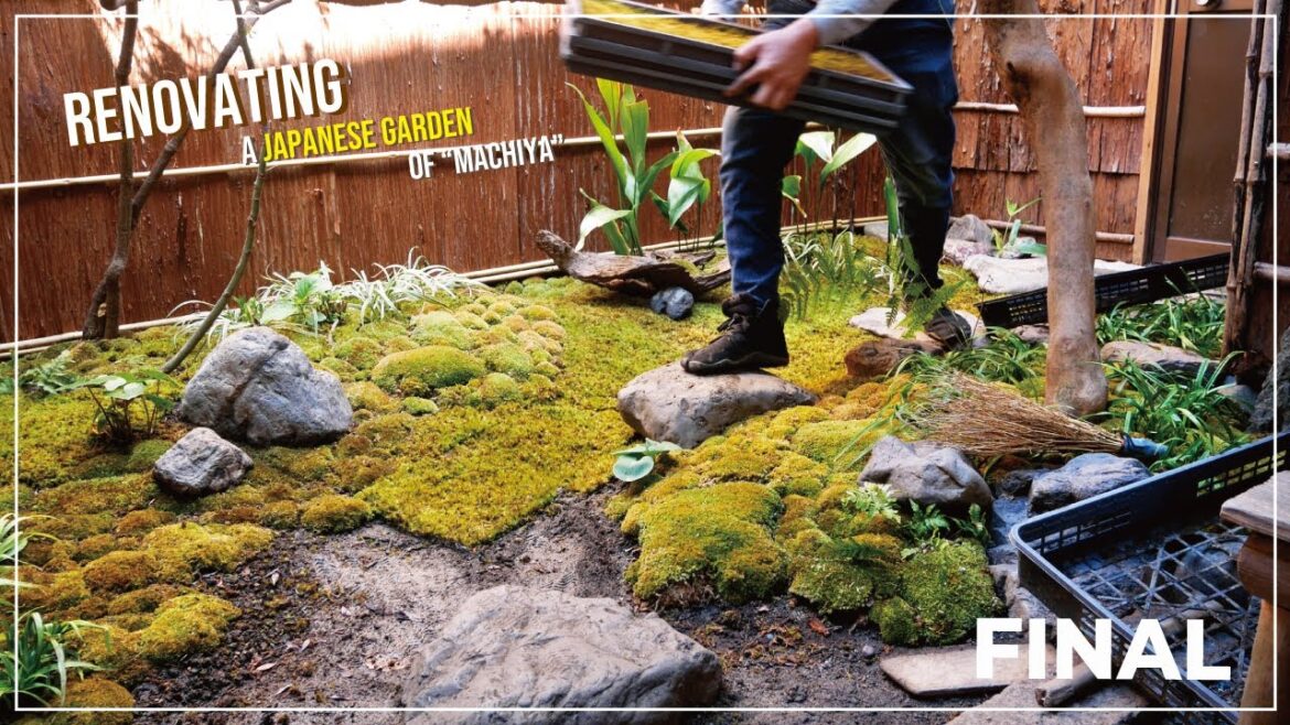 (Pro.33 - Final) Renovating the Japanese garden in a townhouse.