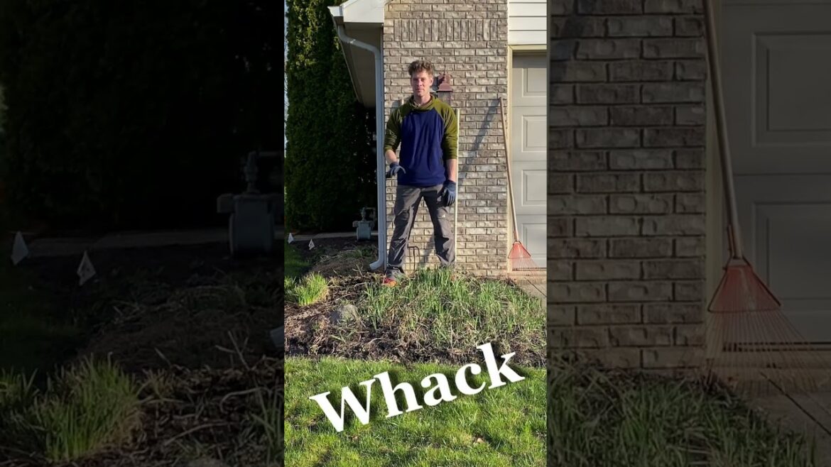 No More Weeds! No More Weeds!