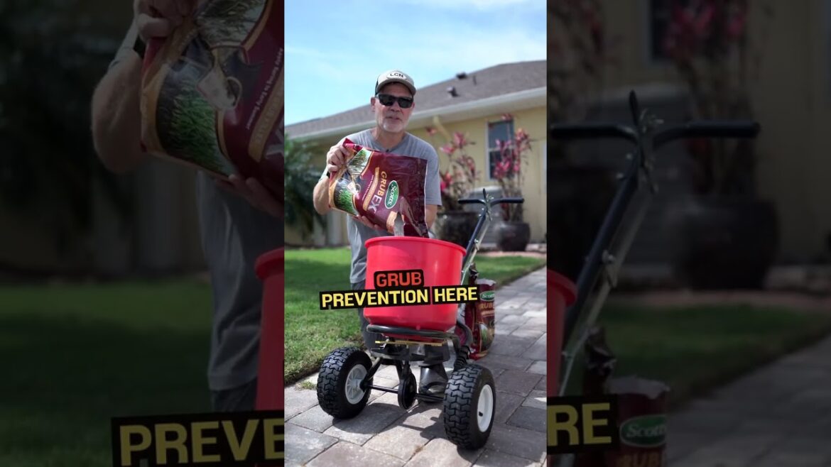 Stop GRUBS Now // Lawn Products to Prevent Grub Damage in Lawns