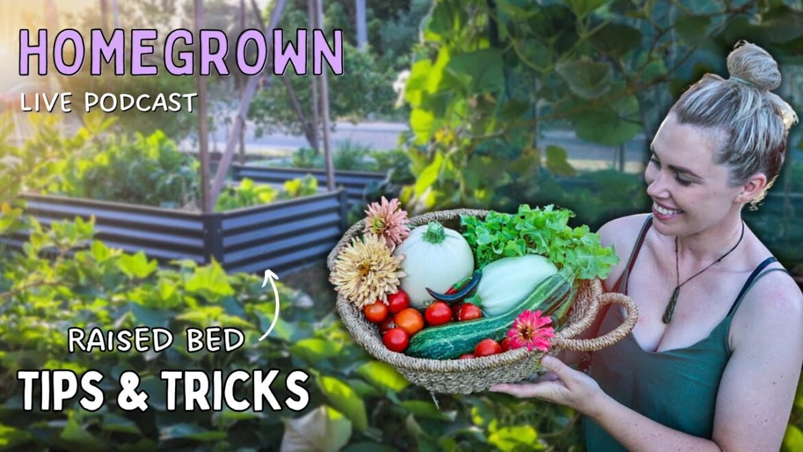 Top 10 Raised Garden Bed Tips for SUCCESSFUL harvests every season