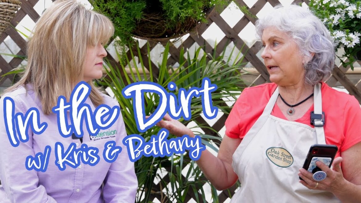 Veggie Garden Success: Expert Tips w/ Bethany O'Rear of AL Extension Office | Oak Street Garden Shop