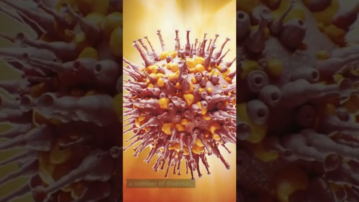 Are Snake Plants Edible? Are Snake Plants Edible?