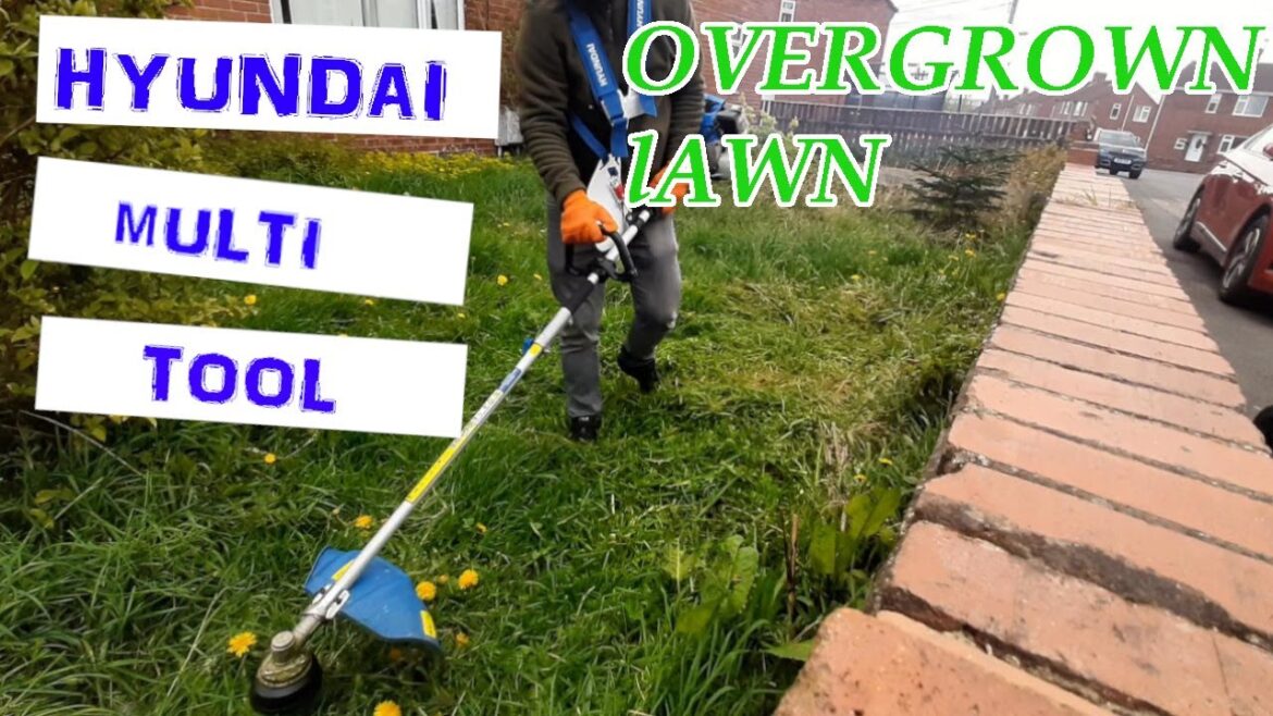 Cutting an Overgrown Lawn (UK)  | Hyundai Multi Tool | Start to Finish (Gardening Business)