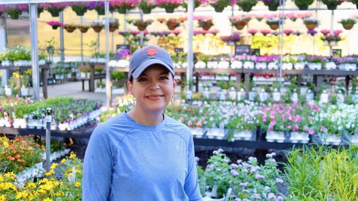 So Many Gorgeous Colors Ready for Your Garden | Gardening with Creekside So Many Gorgeous Colors Ready for Your Garden | Gardening with Creekside