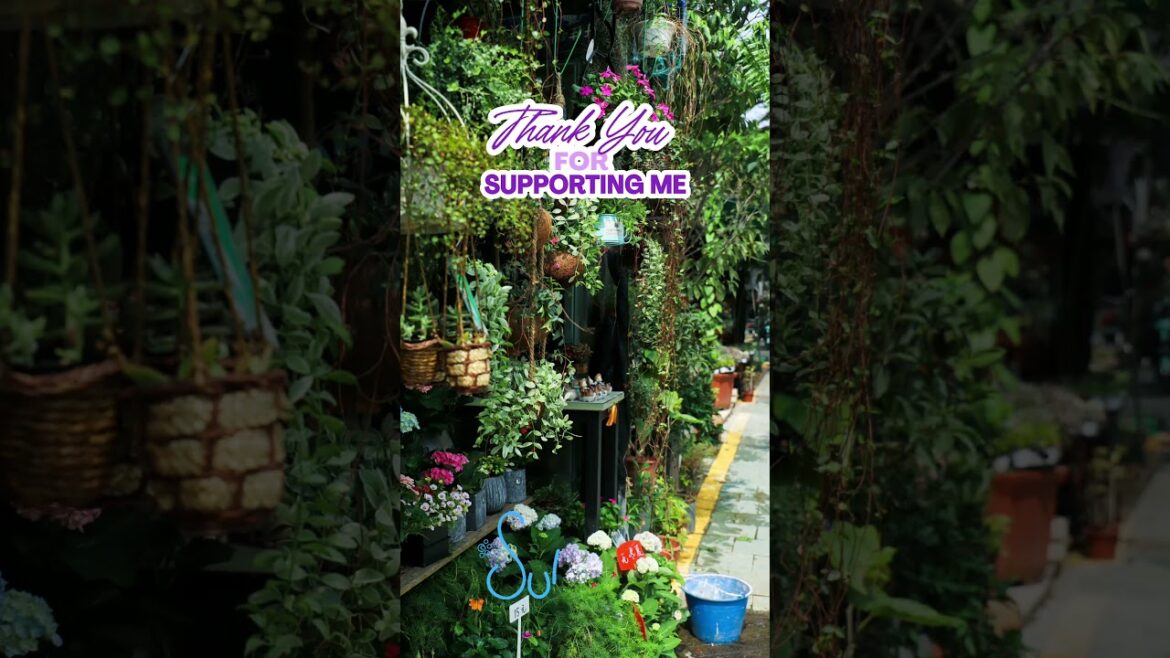 My Top 30 Gardening Tips in 30 Days ๐ฑ ๐พ #plants #tips #garden #march31challenge My Top 30 Gardening Tips in 30 Days ๐ฑ ๐พ #plants #tips #garden #march31challenge