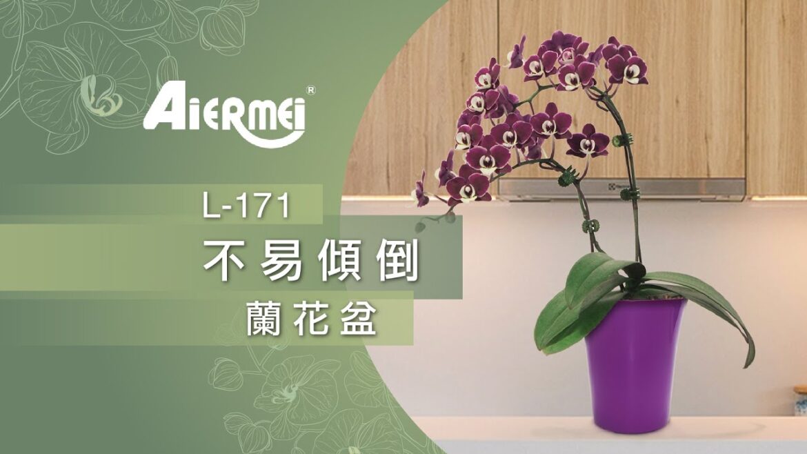 【Aiermei 艾爾鎂】L-171 北歐風蘭花盆-不易傾倒蘭花盆