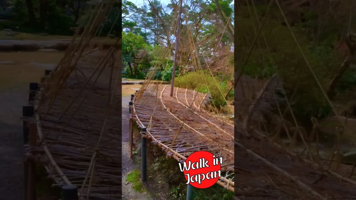 Japanese Garden Ropework is an Art! #shorts #japan
