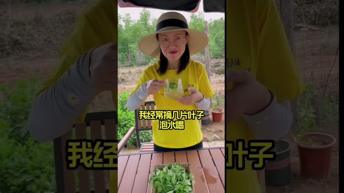 gardening ideas for home/enjoy with my garden