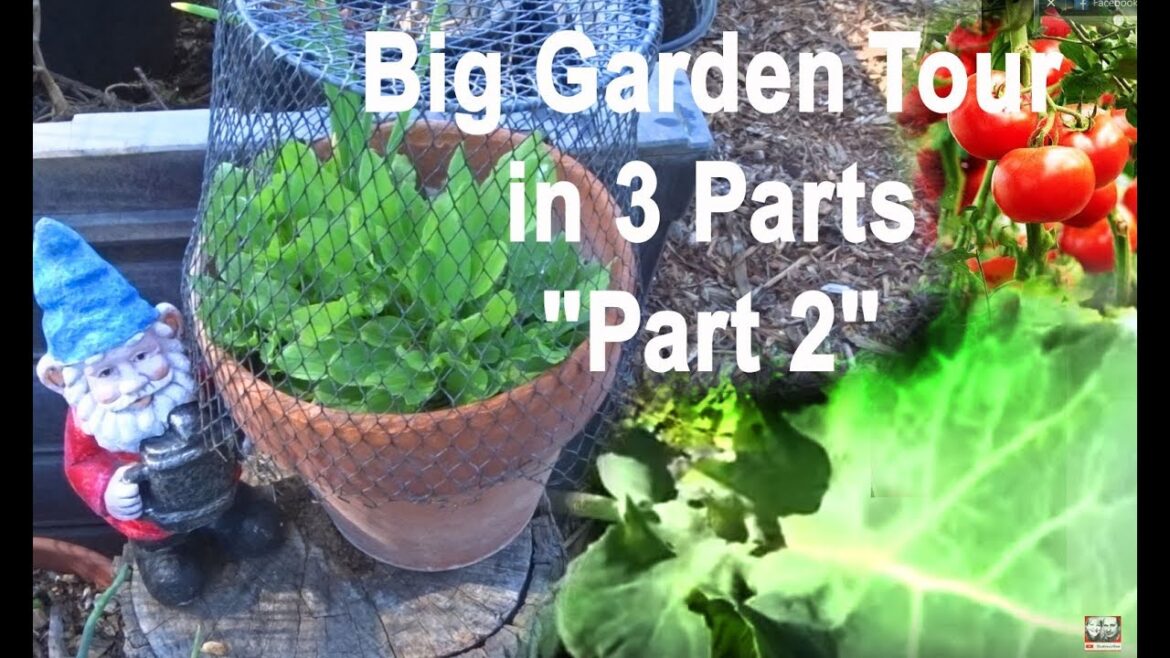 Garden Tour April-Growing Food in Front Yard-Container Gardening-Compost in Place-Vegetables-Part 2 Garden Tour April-Growing Food in Front Yard-Container Gardening-Compost in Place-Vegetables-Part 2