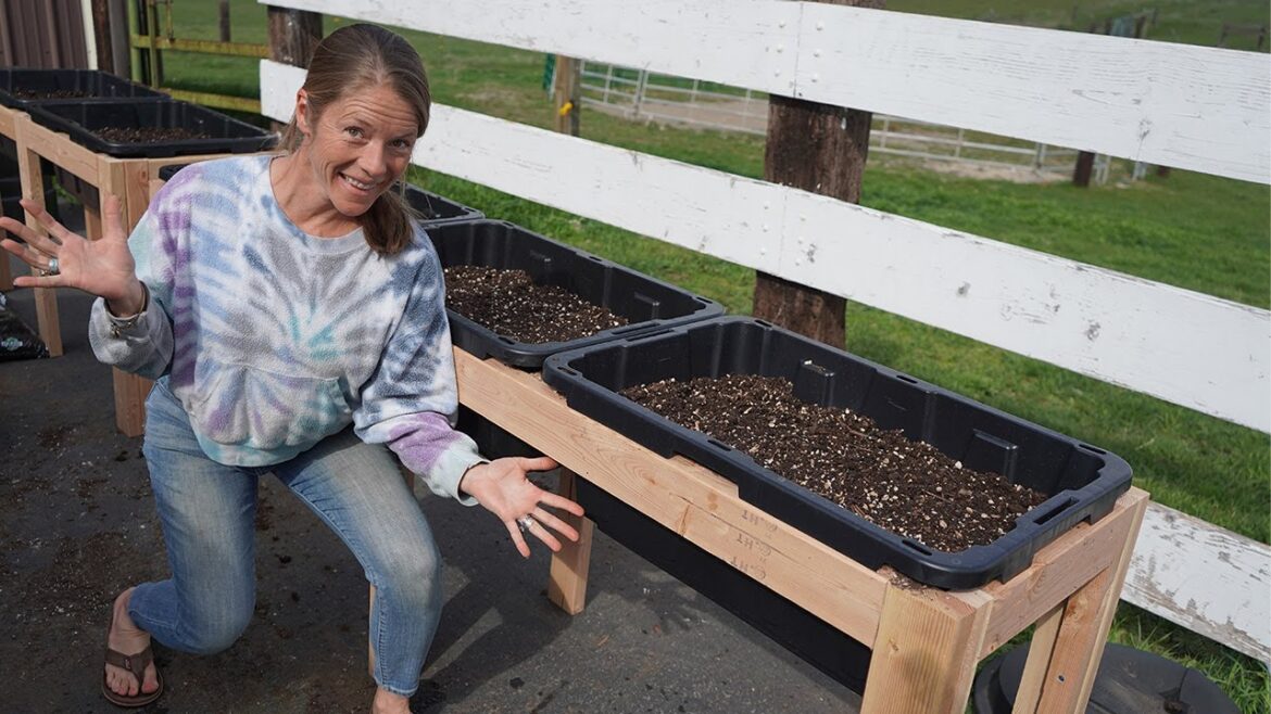 DIY garden boxes from storage containers – back friendly! DIY garden boxes from storage containers - back friendly!