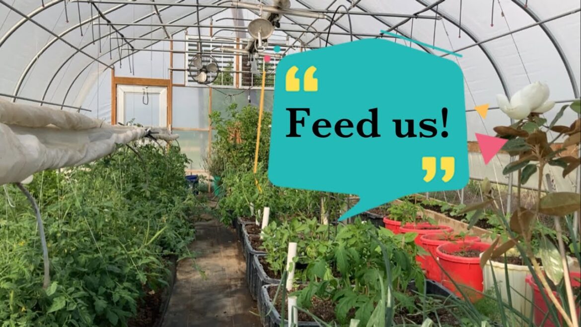 The Garden Waits For Nothing! Explaining Bokashi System/Benefits