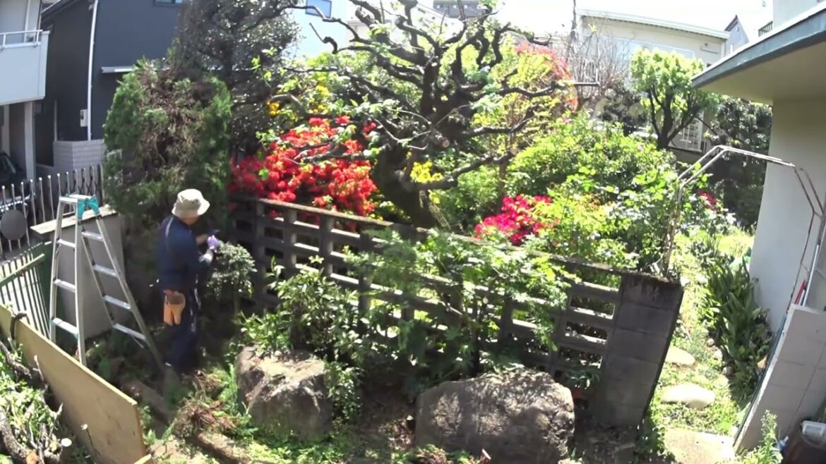 しんいちの庭仕事「１１軒目」　Shin's Japanese garden work "11th house"