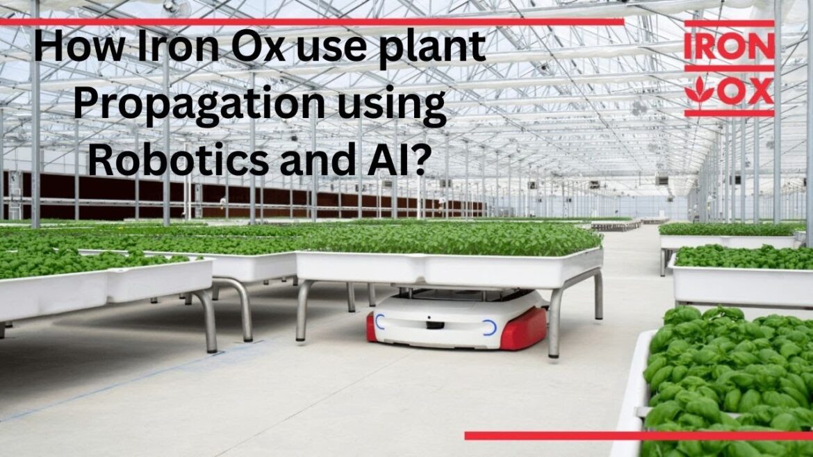 How Iron Ox use plant propagation using robotics and AI? How Iron Ox use plant propagation using robotics and AI?