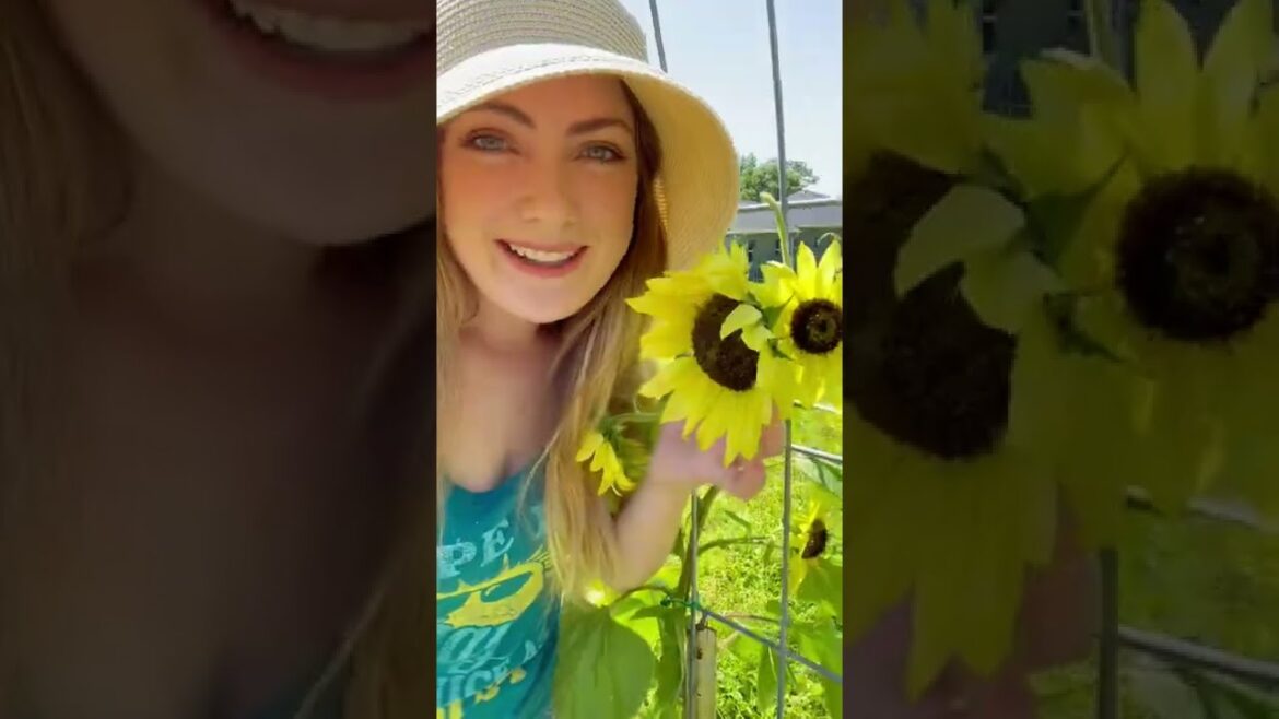 Get Rid Of Squirrels(& Birds) In Vegetable Garden l Humane Squirrel Deterrent Method @ShelbyAlyse