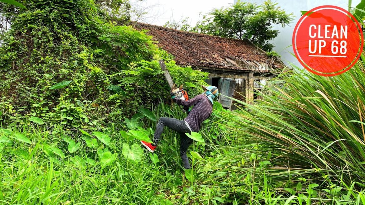 SPECTACULAR transformation mowing overgrown lawn Garden cleaning house with antique STONE design