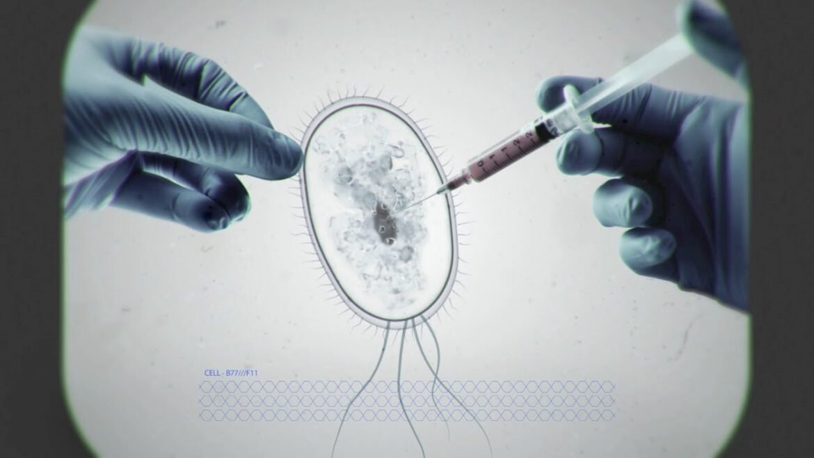 Modifier le vivant à tout prix : enquête chez les scientifiques – Biologie 2.0 – DOCUMENTAIRE – CTB Modifier le vivant à tout prix : enquête chez les scientifiques - Biologie 2.0 - DOCUMENTAIRE - CTB