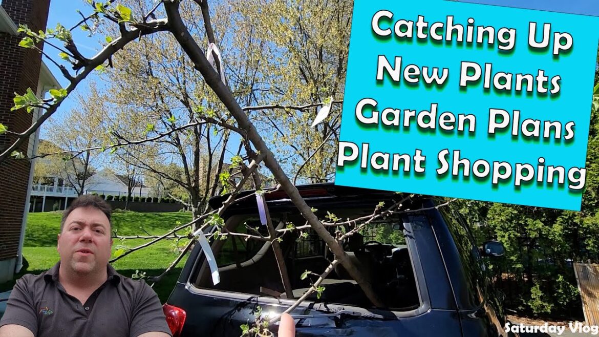 Catching Up || New Plants || Shopping at Lowes for More Plants || Saturday Vlog Catching Up || New Plants || Shopping at Lowes for More Plants || Saturday Vlog