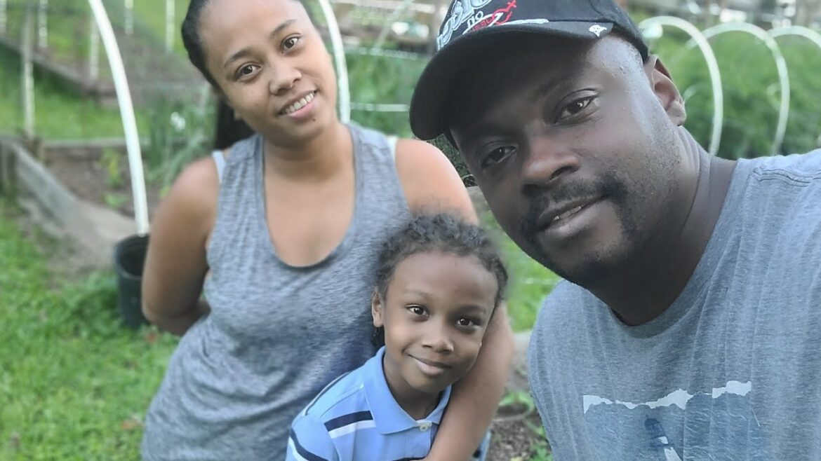 Time To FERTILIZE|#livegardening