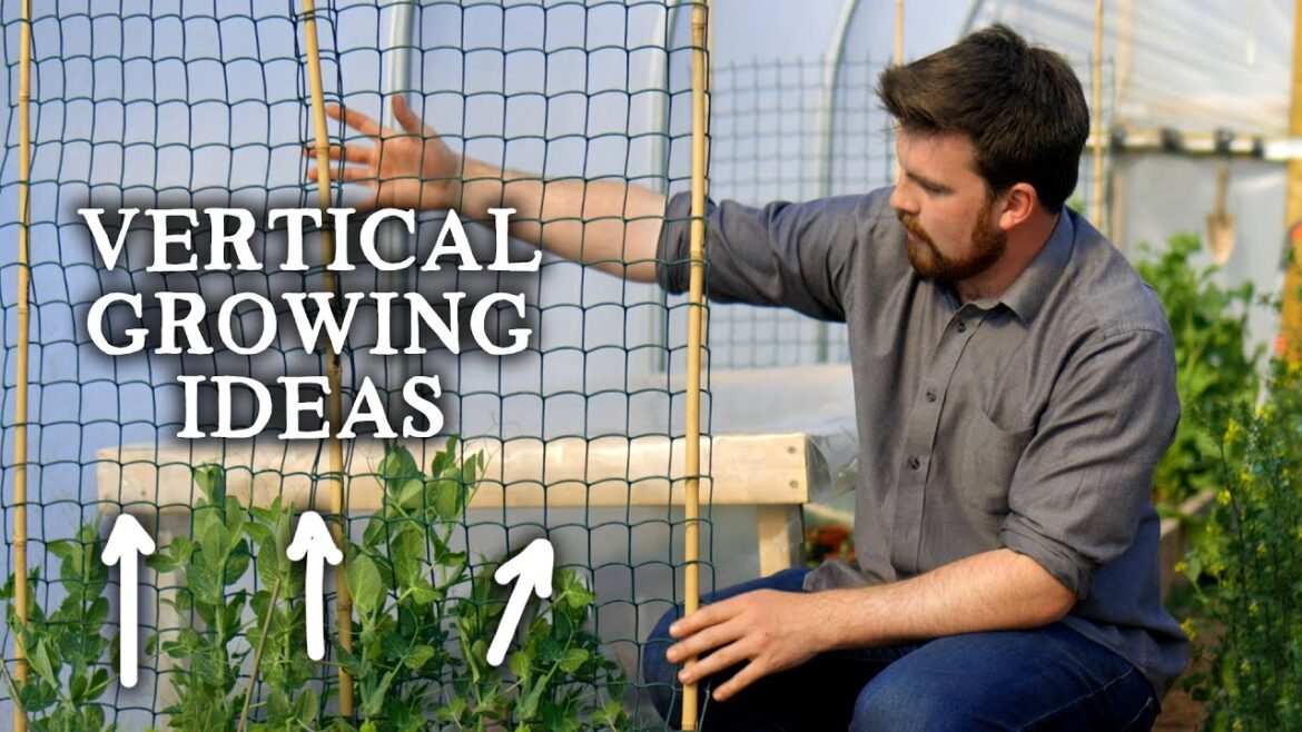 EASY Trellis & Vertical Ideas for Growing Food
