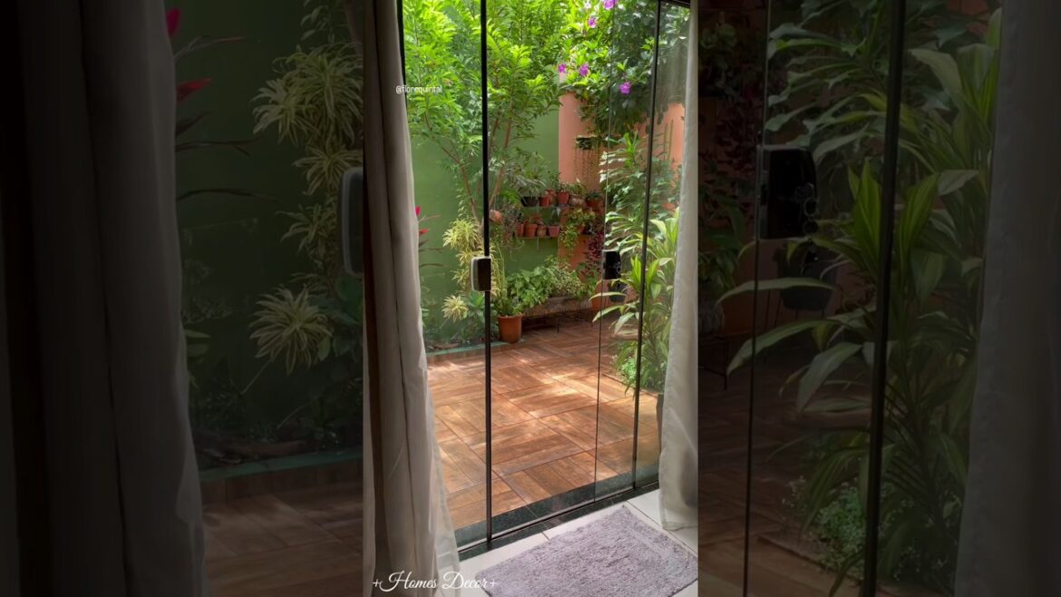Trying something creative |Home garden design #homegarden #shorts #viral