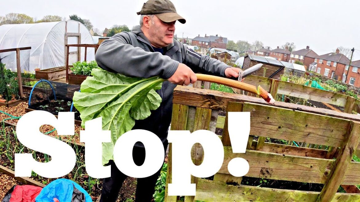Allotment Garden | Be So Careful | Allotment Gardening With Tony