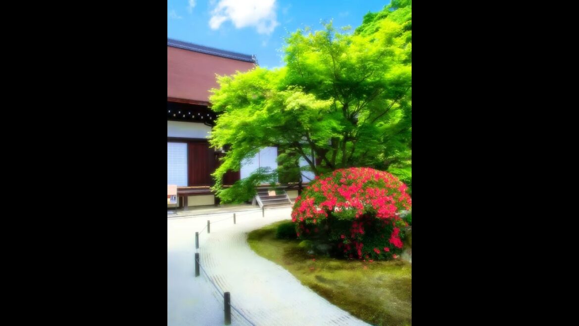 【Japanese Landscape】#shorts #Japan #temple #nostalgia #view