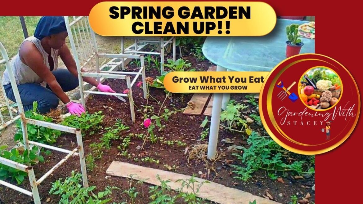 Spring Garden Clean Up And Then This Happen||Jamaican Backyard Garden π―π² Spring Garden Clean Up And Then This Happen||Jamaican Backyard Garden π―π²