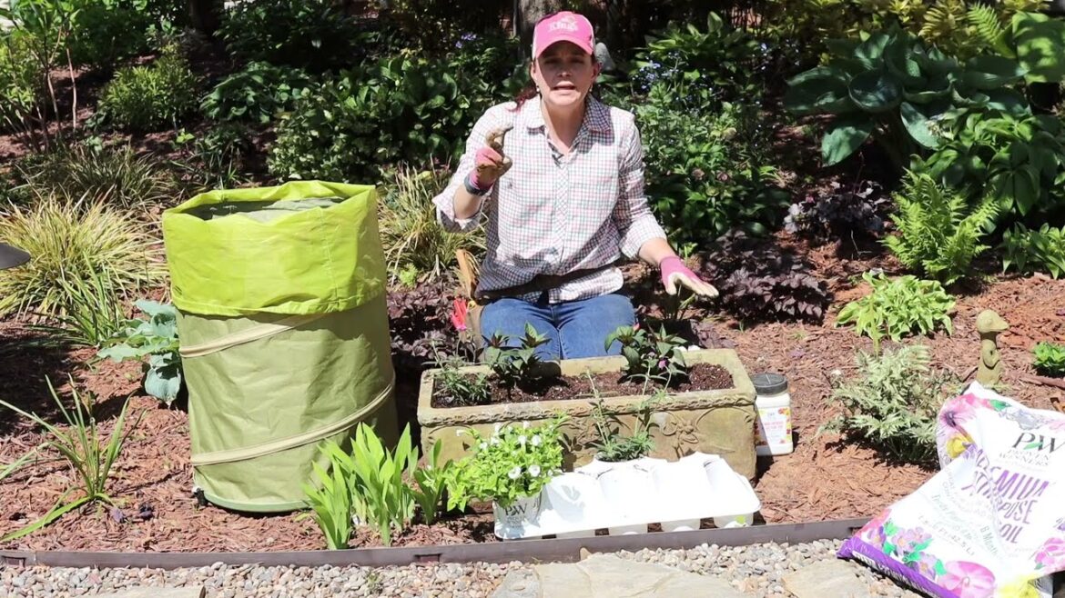 How to Move Perennials from a Mixed Container Into the Landscape | Gardening with Creekside How to Move Perennials from a Mixed Container Into the Landscape | Gardening with Creekside