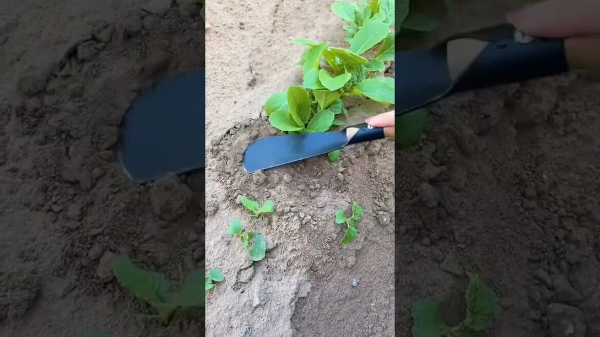 Latest Gadgets #chinesegadgets #gadgets 🥰#chinesetiktok 🔥 #tiktok #trending #shorts #ytshorts (4) Latest Gadgets #chinesegadgets #gadgets 🥰#chinesetiktok 🔥 #tiktok #trending #shorts #ytshorts (4)