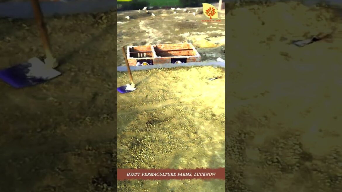 Hayat Permaculture Farms, Lucknow #youtubeshorts #shorts #shortvideo #shortsvideo Hayat Permaculture Farms, Lucknow #youtubeshorts #shorts #shortvideo #shortsvideo