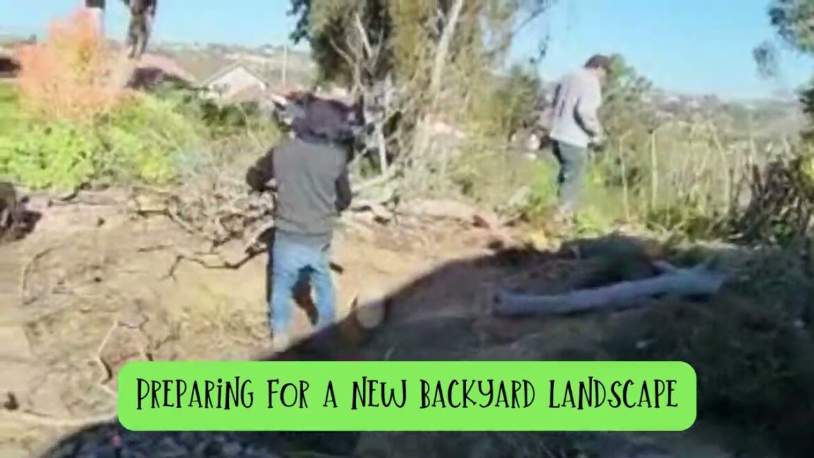 Our next project in transformation - preparing for a new backyard landscape