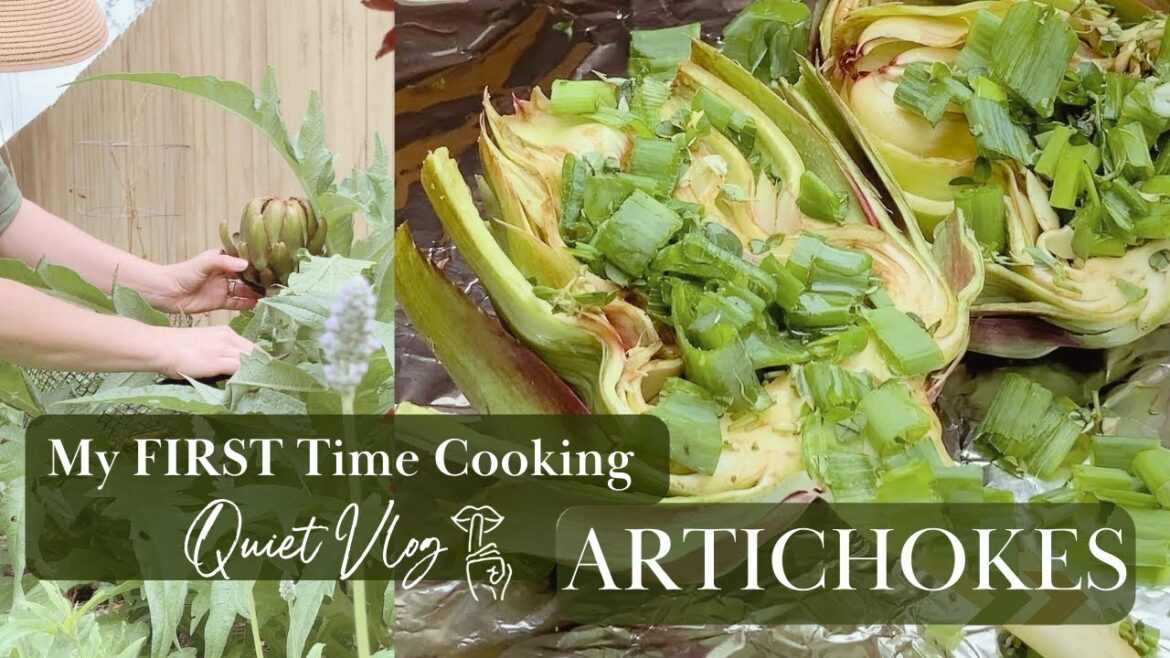 I might mess this up... Harvest and Cook Artichokes With Me
