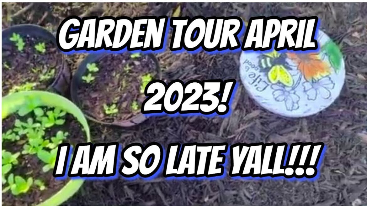 Get Ready to Re-Organize: Revamping Your Container Garden!