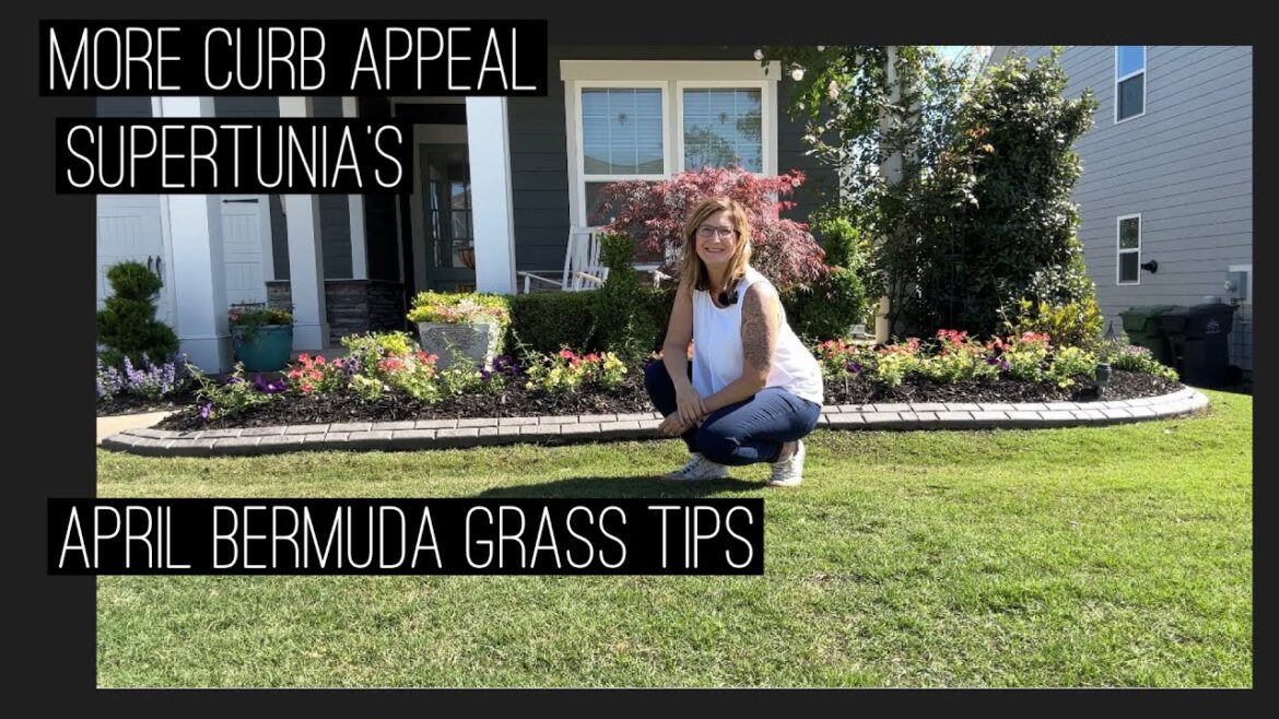Curb Appeal Landscaping with Petunias and Container Planting:  Bermuda Grass Tips for April