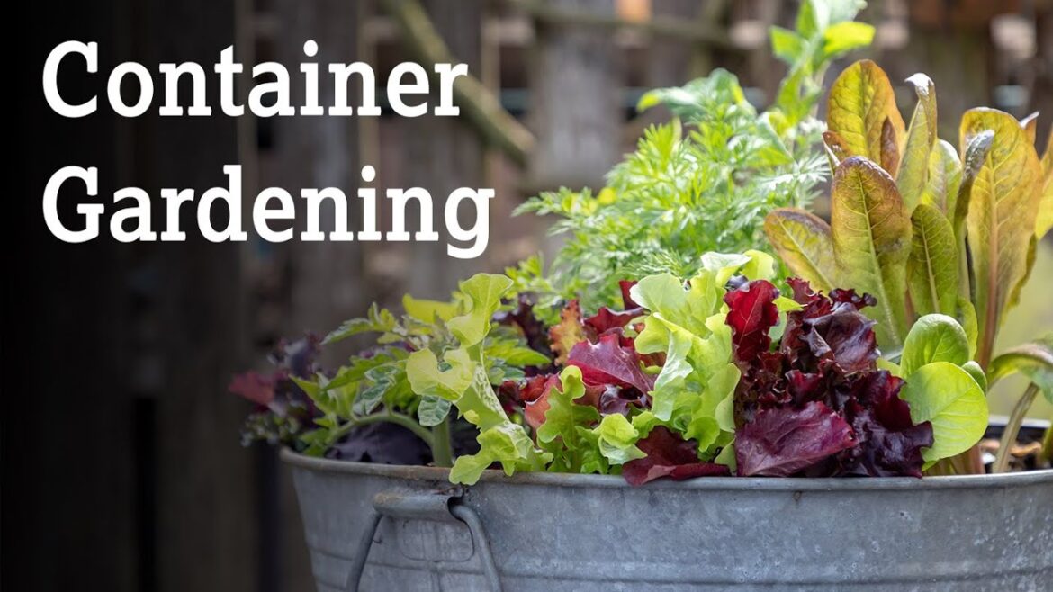 Container Gardening