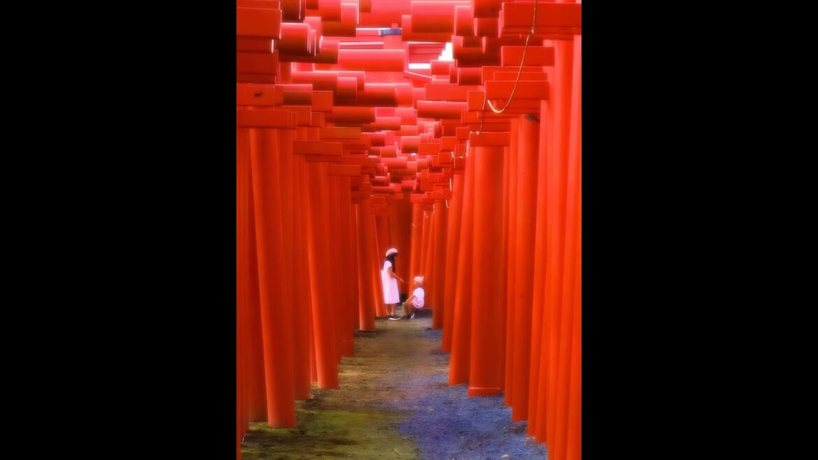 【Japanese Landscape】#shorts #Japan #view #Scenery #shrine #DemonSlayer #KamadoTanjironoUta