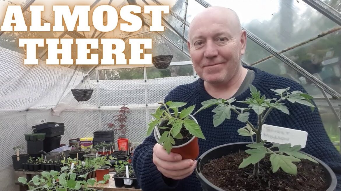 We Are Almost There [Gardening Allotment UK] [Grow Vegetables At Home ]