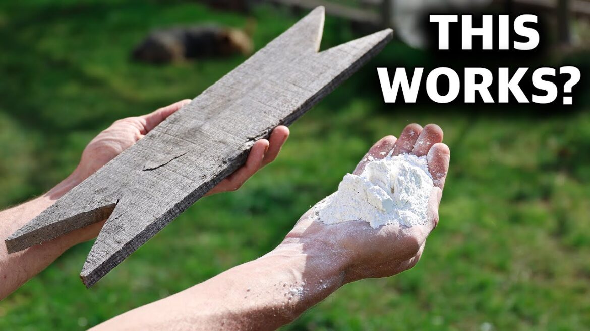 James Prigioni: they doubted that it could be done… How to Actually get ORGANIC FRUIT from your Backyard Garden they doubted that it could be done... How to Actually get ORGANIC FRUIT from your Backyard Garden