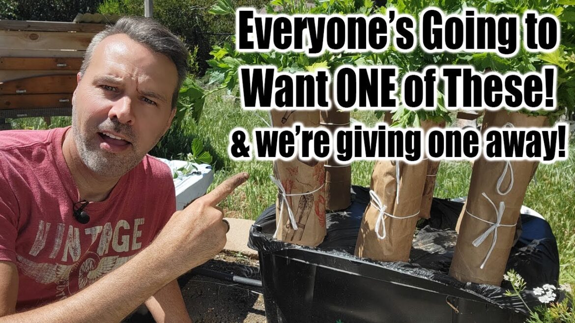 Self Watering Container Garden!