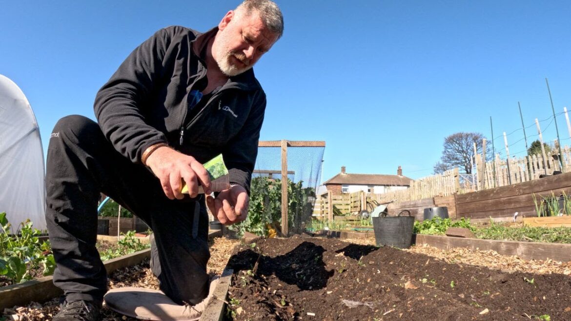 Allotment Garden | All Before Breakfast | Allotment Gardening with Tony Allotment Garden | All Before Breakfast | Allotment Gardening with Tony