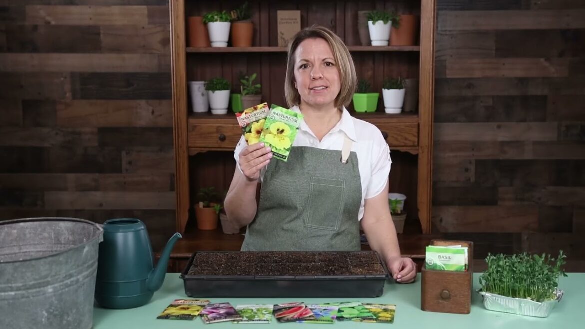 Sow Right Seeds | Grow Nasturtium from Seed | Nasturtium Garden Seed Collection Sow Right Seeds | Grow Nasturtium from Seed | Nasturtium Garden Seed Collection