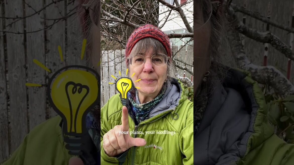 Best Frost Protection for Plants