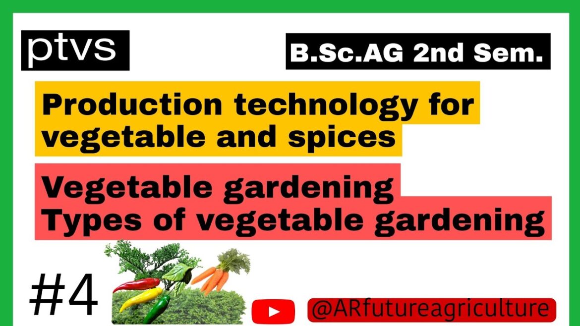 vegetable gardening / types of vegetable gardening / ptvs @ARfutureagriculture vegetable gardening / types of vegetable gardening / ptvs @ARfutureagriculture